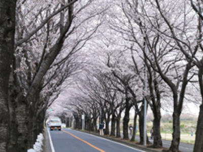 区の紹介